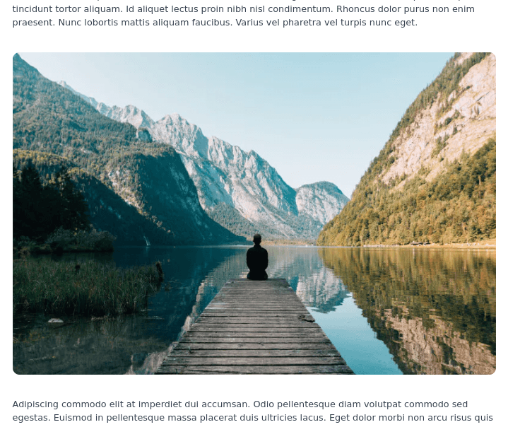 embeded image component